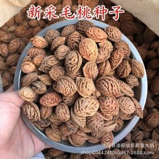 �²�ë�ҷN�� �Ҙ�N�� ɽ�ҷN��Ұë�Ҙ�޽�÷������Ҙ���ľ