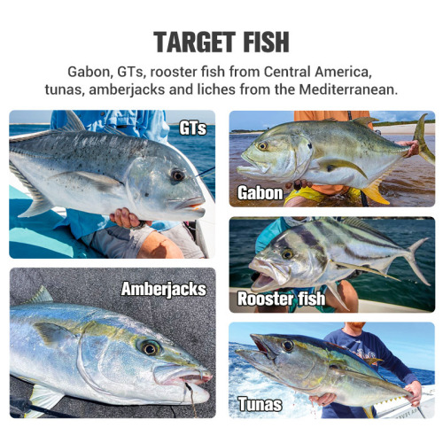 NOEBY/Noobie 150mm/54g Popper Lure Gold GT Tuna Dogfish Plastic Hard Baits