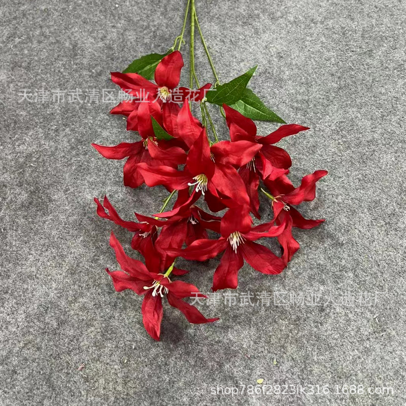 12 헤드 갈랜드 릴리 레드