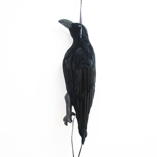 ��ɫ���f������f����������f�T�D��ë���f�f�}���b�