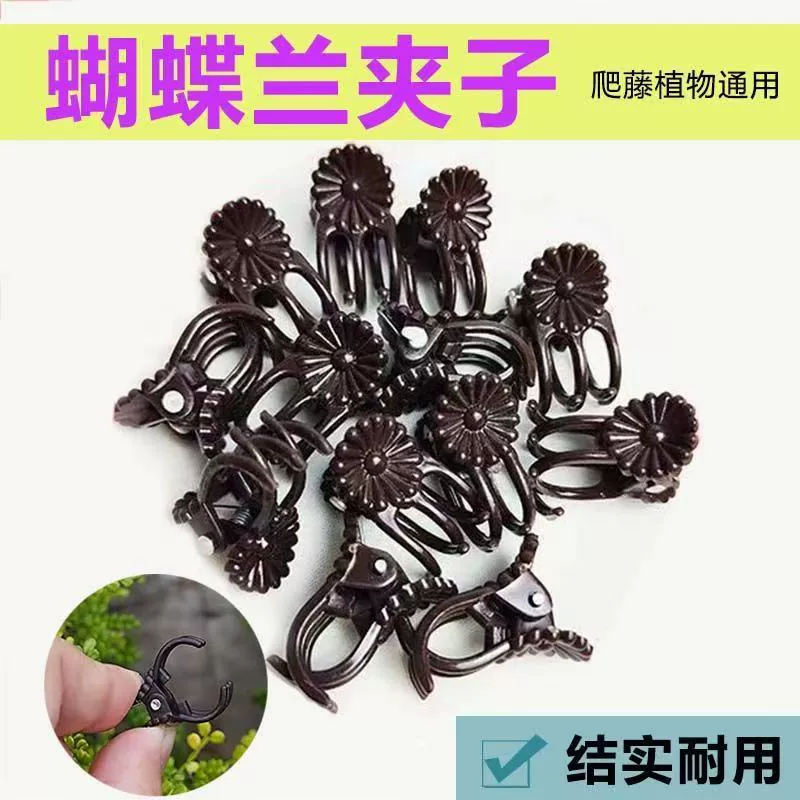Зажимы для орхидей фаленопсис, зажимы для прививки, зажимы для вьющихся растений, зажимы для поддержки растений, зажимы для рассады