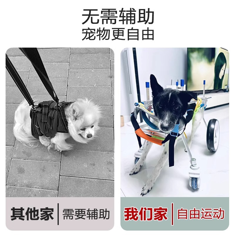 Silla de Ruedas para Perros Metal