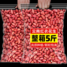 新货红皮花生云南特产干货晒干红衣带壳现剥新鲜大粒饱满农家自产