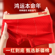�����괿�޴����˱������к��ڿ�͸�������Ứƽ�ǿ������Ľǿ�