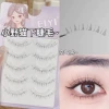 The entire wild cat's eyelashes