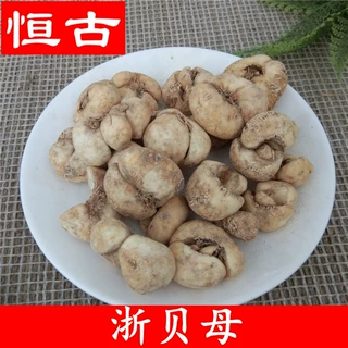 浙贝母中药材批发浙贝母个 大货供应各种规格浙贝个
