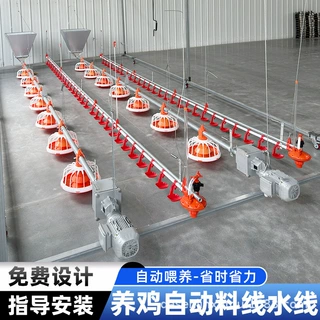 跨境定制养殖场料线水线料盘绞龙鸭鹅设备全套畜牧养鸡自动喂食器