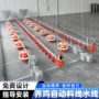 定制养鸡全套跨境水线