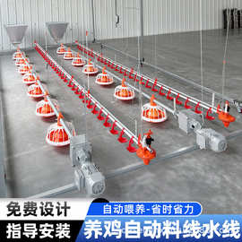 全自动散养肉鸡喂料畜牧设备喂食器料盘绞龙养殖场水线平养鸡料线