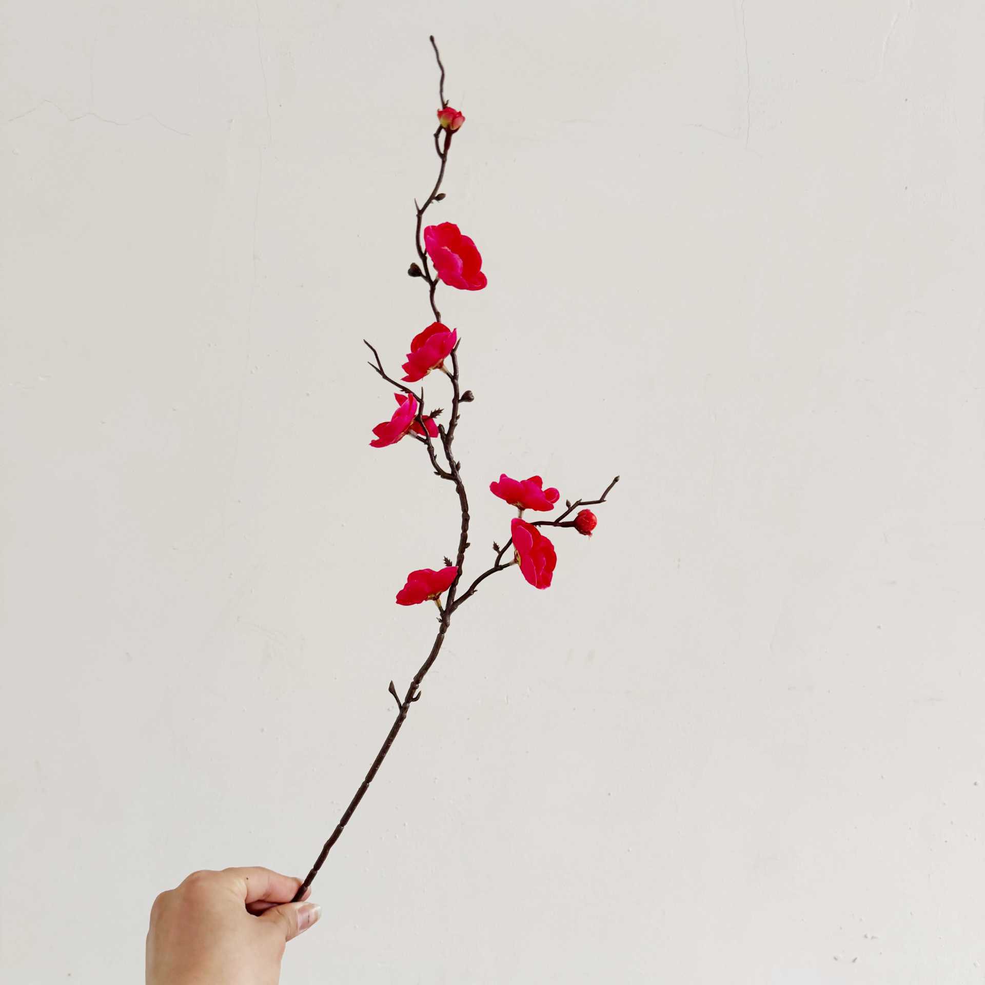 루이 매화 로즈 레드 (높이 60cm )