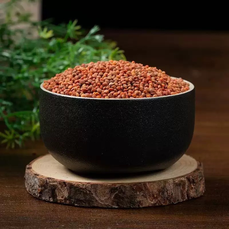 Chu Shi Zi (Broussonetia papyrifera Fruit) — Dried Food Herb, 500g specifications