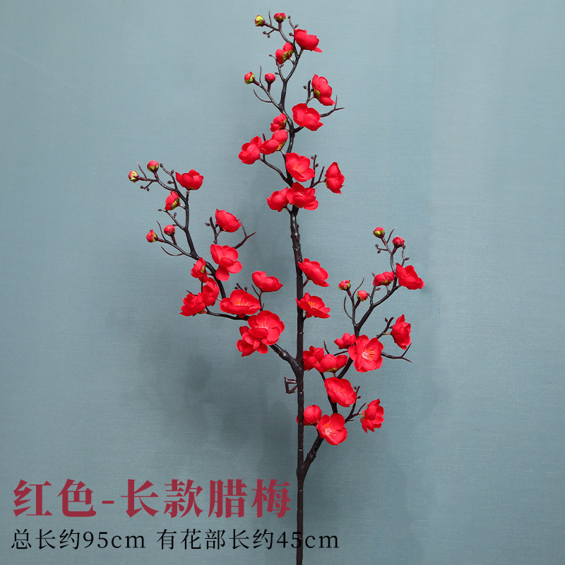 긴 빨간 윈터스윗