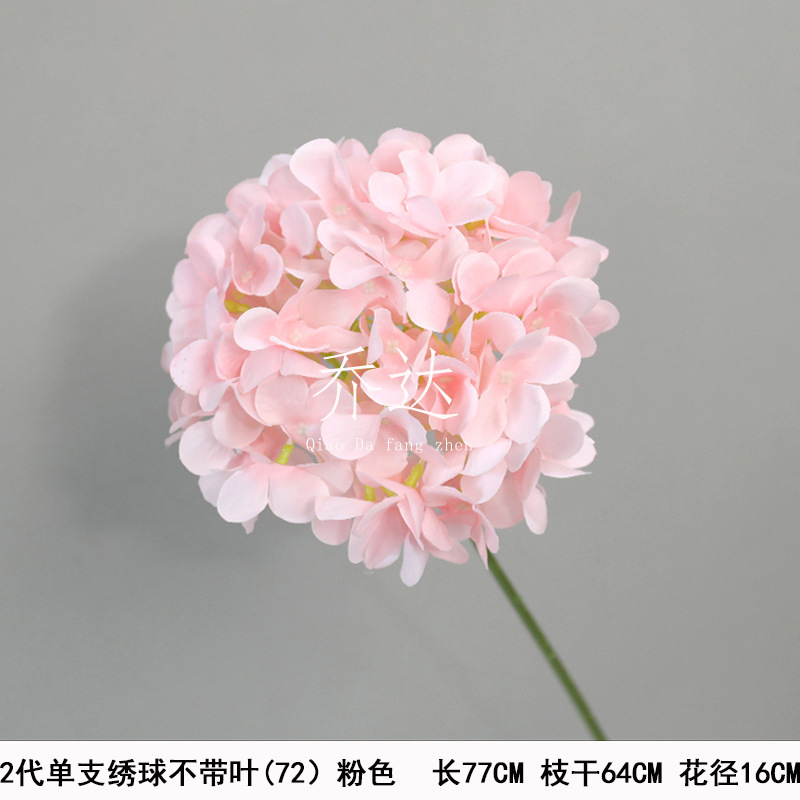 2nd generation single hydrangea without leaves (72)