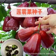 ɏ�F�ڽ����N���ļ����N�̨����СԺ�Nֲ���θ߮aˮ���N��