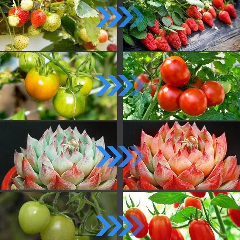 LED-лампа для растений, подсветка от солнечных батарей, комфортный световой спектр
