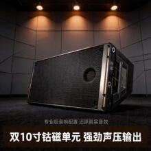 音响黑色塑料胶箱双10寸钕磁有源无源可选喇叭线阵