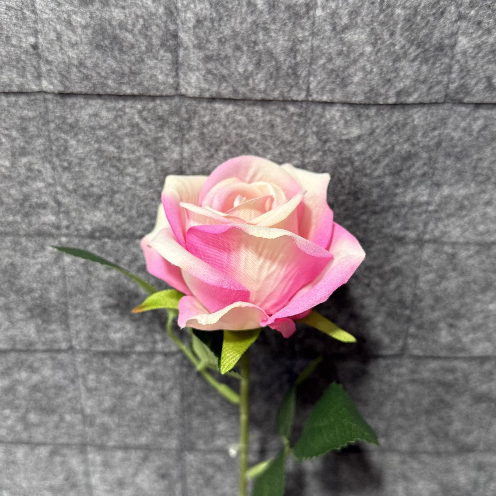 진한 핑크색