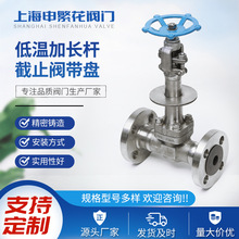 LNG�y�TDJ41W-300LBPL�͜ؼ��L�U��ֹ�yF304L���m������