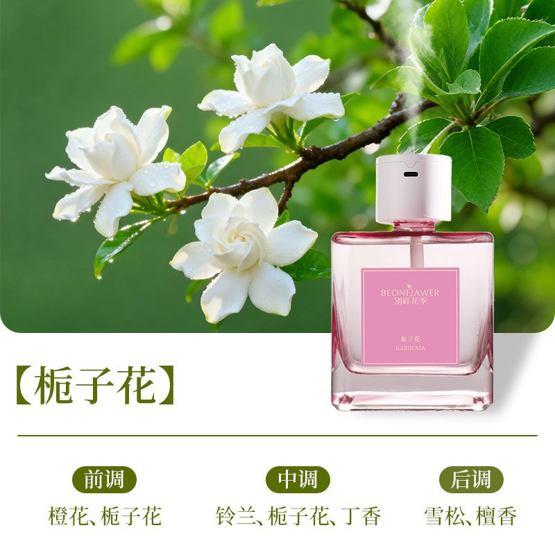 Perfume del dormitorio sin caña de fuego aroma de alta calidad para el hogar desodorante decoración de la sala de estar aire fresco del baño