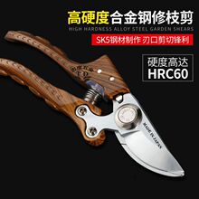 �ձ��M�ڈ@�ִ�֦��ԭ�bSK5��֦�������ü���֦�����¿��֦��