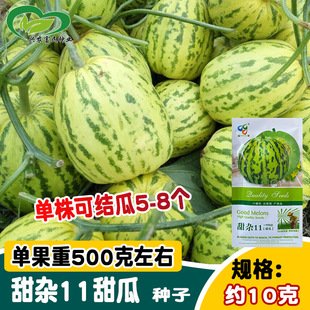 ���S���s11��ϷN�� �ִ��滨�y�������ϷN�� �����r��ˮ��