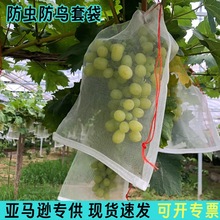 露天尼龙网袋葡萄套袋柚子梨子橙子育果保护袋防虫防鸟防雨水果袋