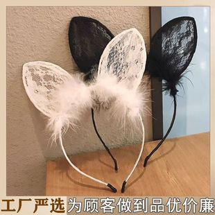 �ٽz�ö���l��؈����ll�A����F�������؈���^���ë�q�^��