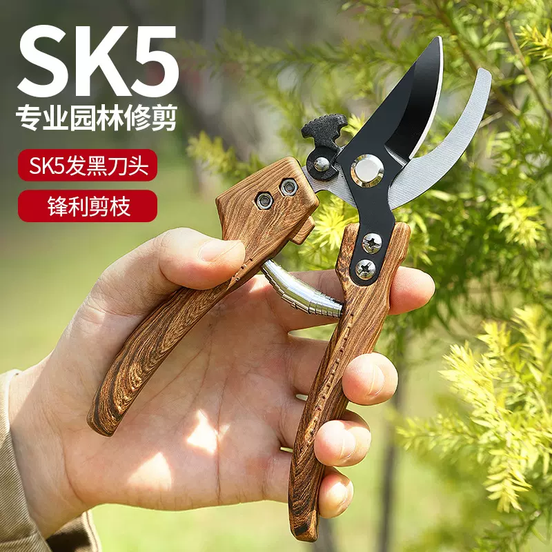 园艺剪刀省力修枝剪果树修剪利器粗枝省力园艺SK5剪刀锋利花枝剪