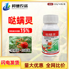 15%}\`t֩Slךx\ٹ}߲һrș