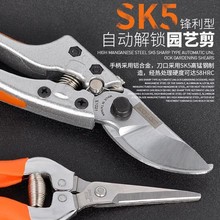 ����̨�������޼���֦�����޻�����֦����ľ����԰��԰�ռ�ժ����