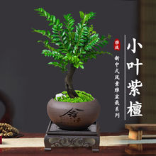 С�~��̴�辰ֲ����������k���������҃Ȼ��ܾGֲ���B��U��[��