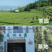 2025新茶 富硒绿茶 源头工厂   恩施玉露  毛尖 炒青 高山云雾茶