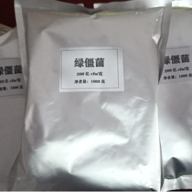 供应 白僵蝉用  白僵菌 杀虫  量少可售 白僵菌 绿僵菌 小量可发