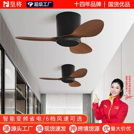 风扇灯;电风扇;吊扇