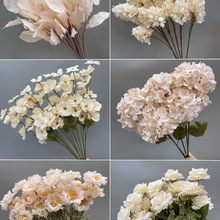 �㙉ɫ����c���üٻ��b��Ľ�����Y��ˇ�ٻ���픻�·����