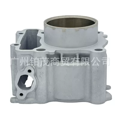 Xmax300 Motorcycle Ceramic Cylinder Cylinder and parts
