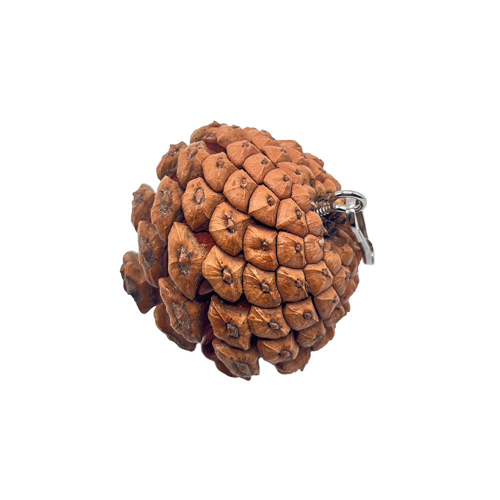 El juguete para morder de loro se puede colgar con piñas, mascota de pájaro, juguete de piñas navideñas, accesorios de decoración de jaulas para pájaros