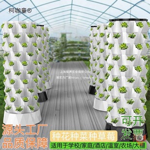 ����ͥ�Nֲ�̨���ӷN���O����������Oʩ���}�C�o�������F��̫��