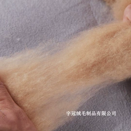 动物毛鬃;纺织填充物;羊毛/羊绒被