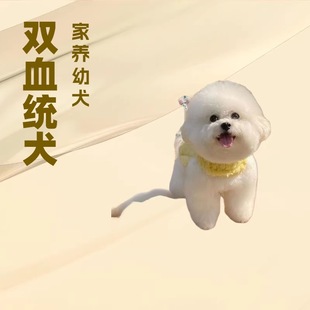 �����pѪ�y���܌�����w�������N�nϵ���ܲ豭ȮС�����pȮ��HȮ