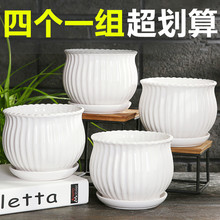 新款陶瓷花盆特价清仓家用蝴蝶兰带托盘白色简约绿植吊兰批发