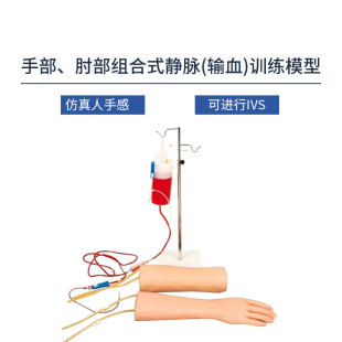 Hand, Elbow Combined Type Vein (Blood) Training Model Hs18
