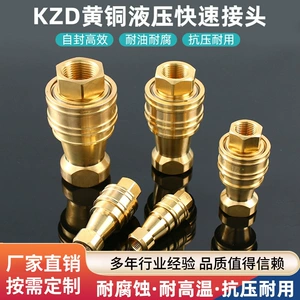 Hidravlik birləşdirici KZD bürünc yağ zavodu birbaşa KZD bürünc qəlib hidravlik sürətli birləşdirici.
