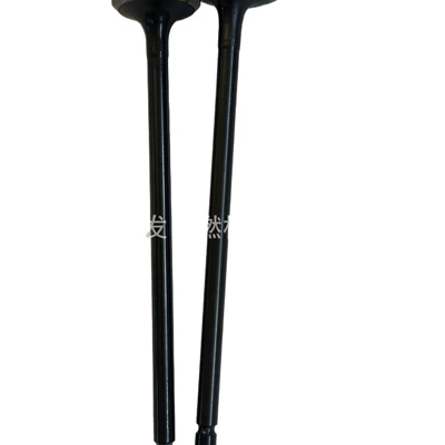 Valves and components C6.4 intake valve