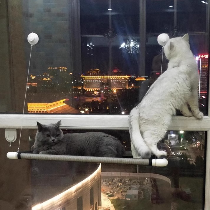 详情图片_03.jpg