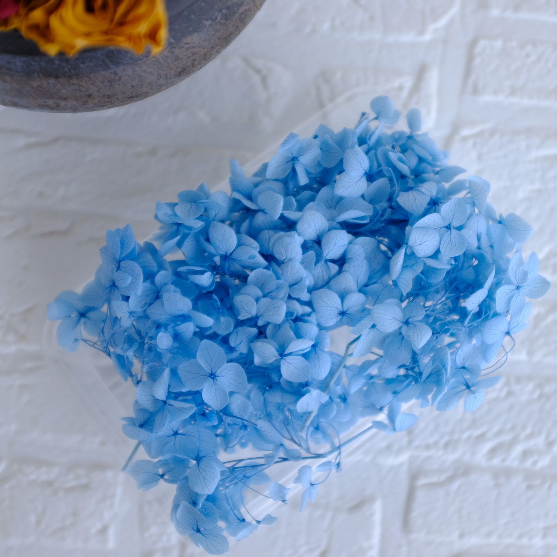 bleu brume / 5G en boîte