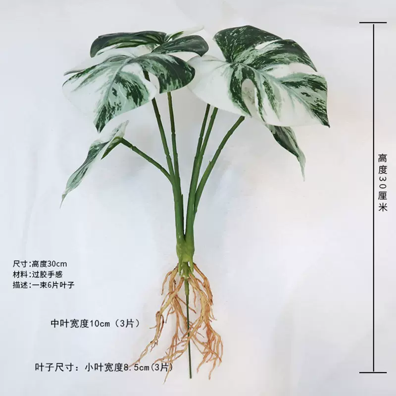 花绿植龟背竹竹芋青苹果叶美人蕉带根单枝大叶子仿真龟背叶高仿真