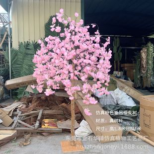 �S�����l���滨��U�����ѻ���Ҿ��b٘����ѻ����һ��侰�^