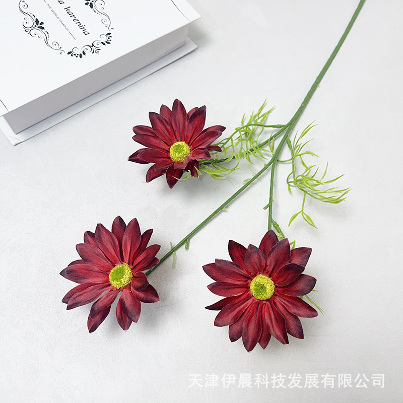 여름 국화 3개 - 빨간색