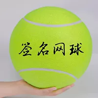 9.5inch фирменные теннисные мячи Рекламные теннисные мячи Теннисные принадлежности Надувные теннисные мячи Теннисные мячи для собак